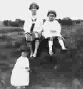 Horse-drawn cultivator