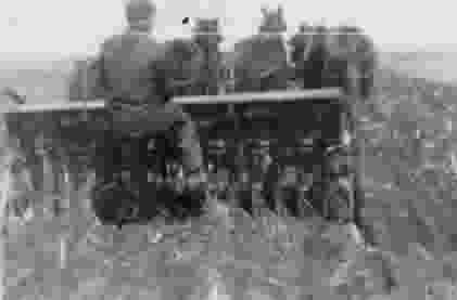 Horse-drawn cultivator